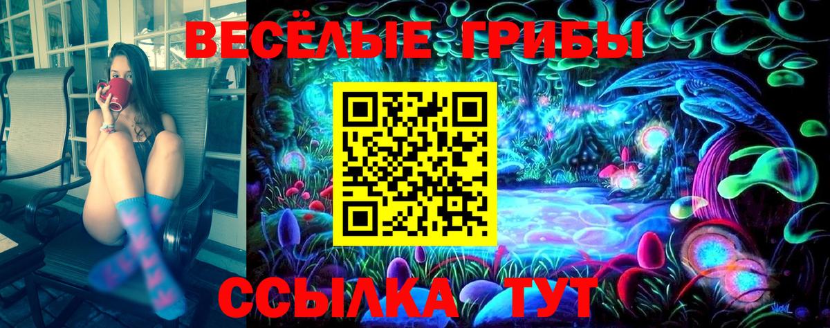 Галлюциногенные грибы Psilocybine cubensis Туймазы
