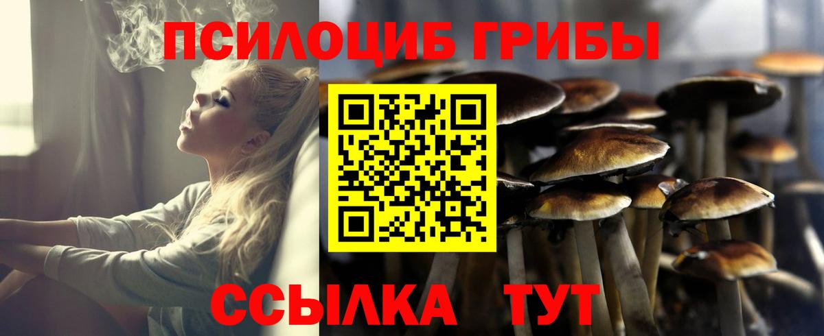Туймазы  Псилоцибиновые грибы Cubensis  Вход с VPN 